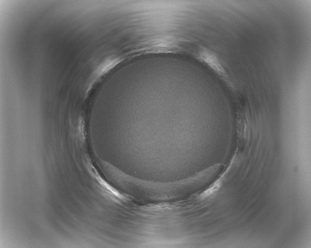 X0000066541402200603201413