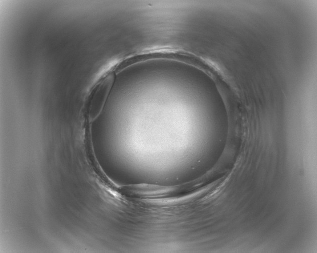 X0000066541406200603201414