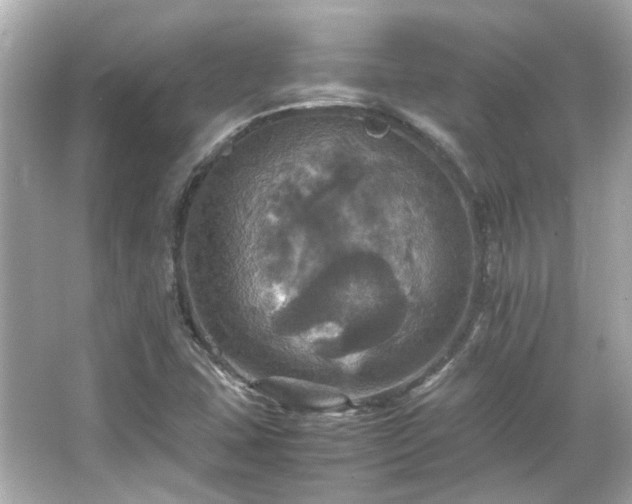 X0000066541407200603201414