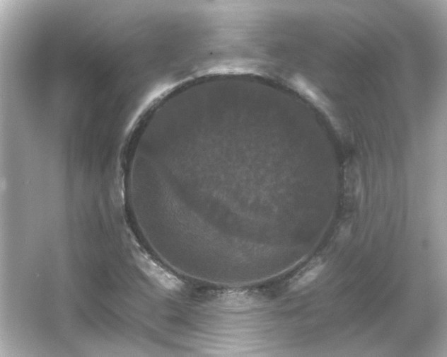 X0000066541408200603201414