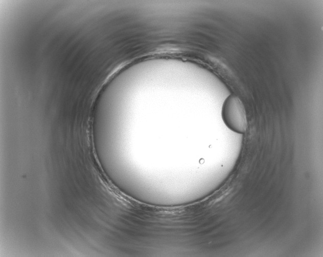 X0000066541409200603201414