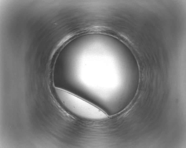 X0000066541410200603201414