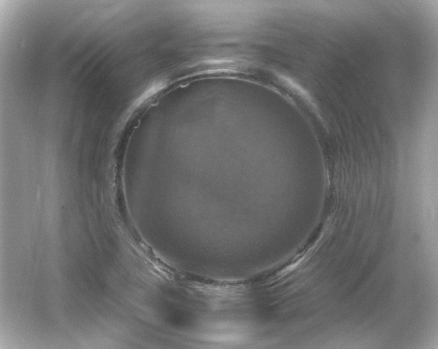 X0000066541411200603201414