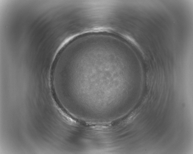 X0000066541412200603201414