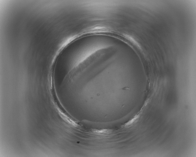 X0000066541413200603201414