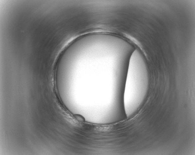 X0000066541415200603201414