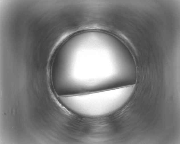 X0000066541416200603201414