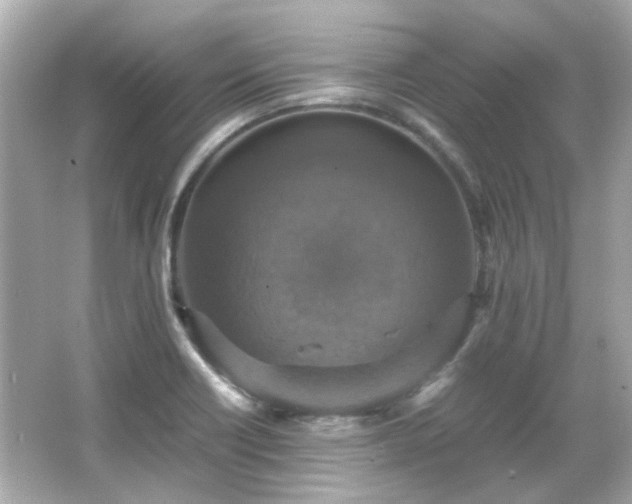 X0000066541418200603201414