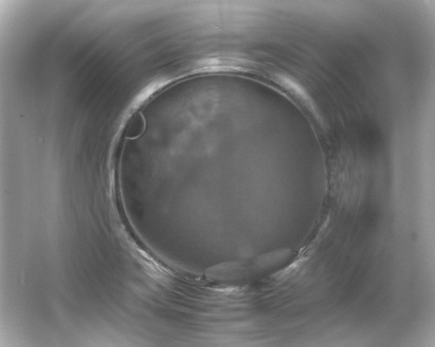 X0000066541419200603201414