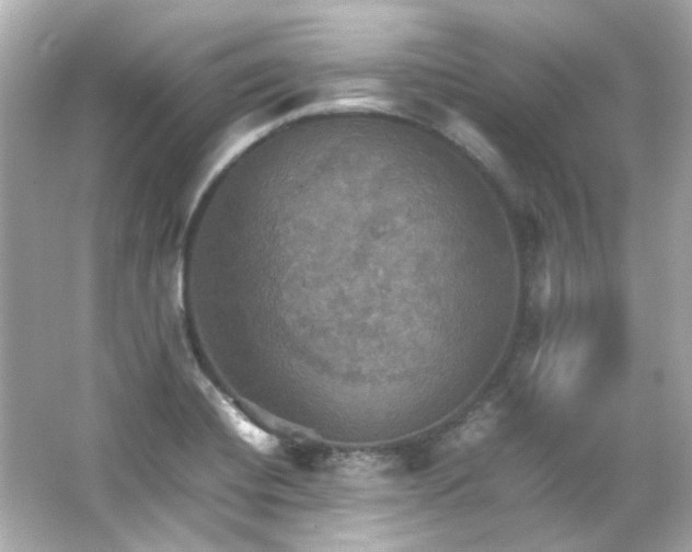 X0000066541420200603201414