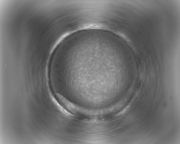 X0000066541422200603201414