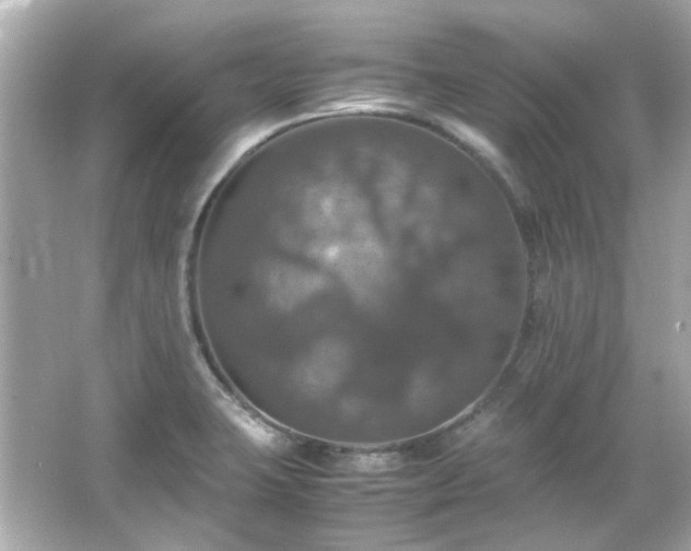 X0000066541423200603201414