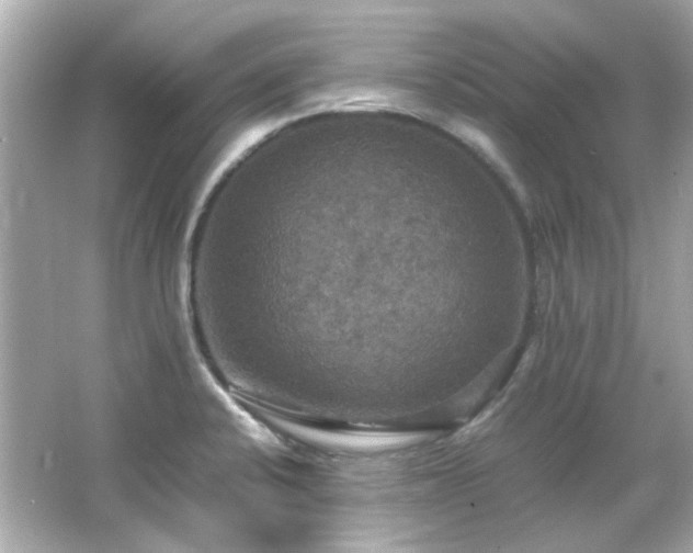 X0000066541424200603201414