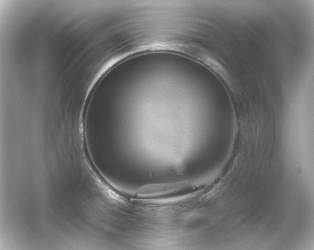 X0000066541428200603201414