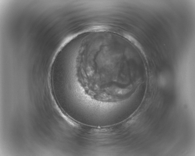 X0000066541429200603201414