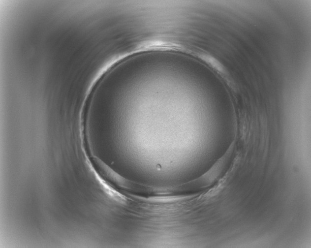 X0000066541430200603201414