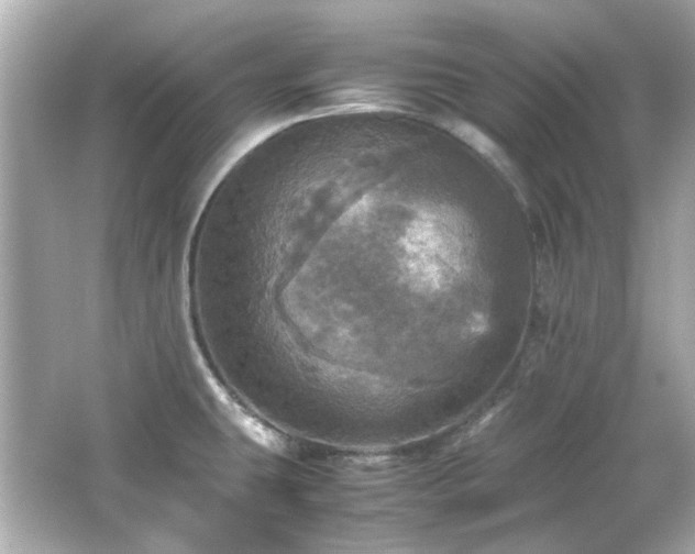 X0000066541431200603201414