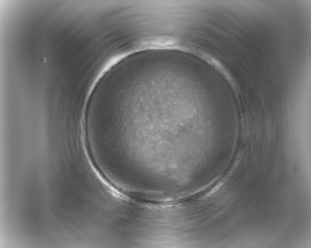 X0000066541432200603201414