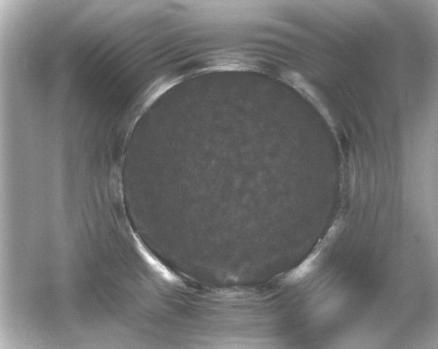 X0000066541433200603201414