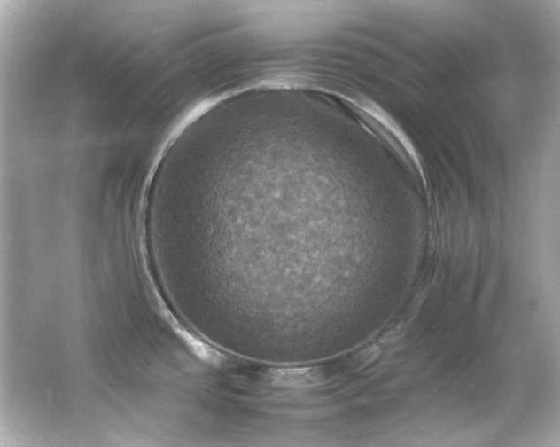 X0000066541437200603201414