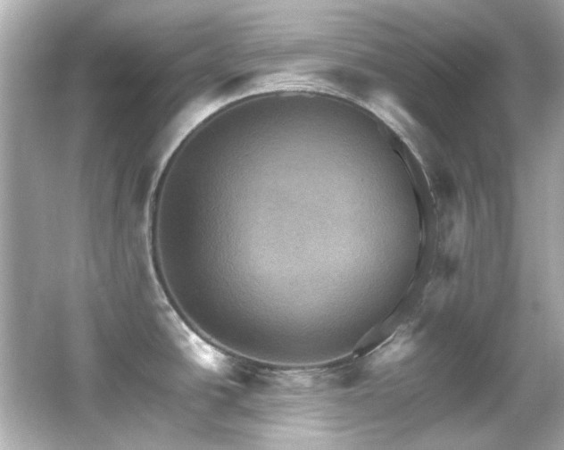 X0000066541438200603201414