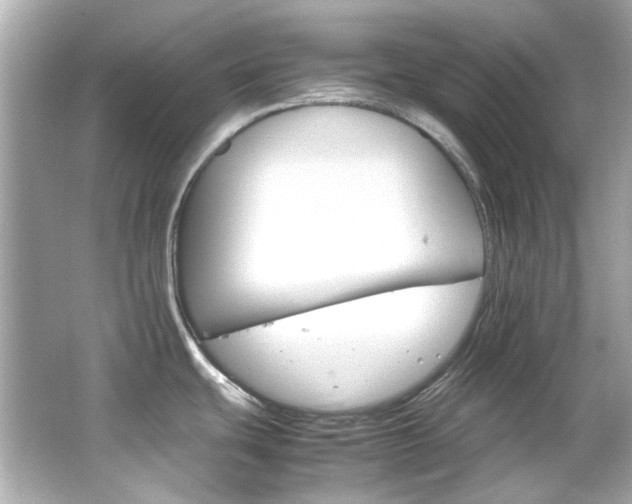 X0000066541439200603201414