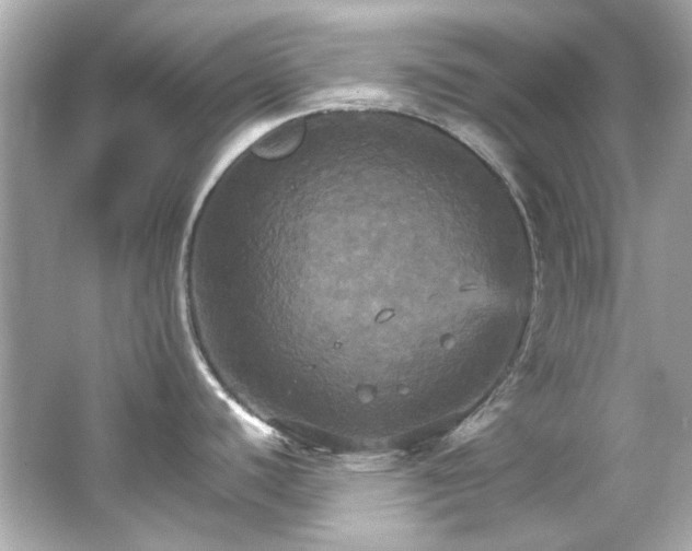 X0000066541440200603201414