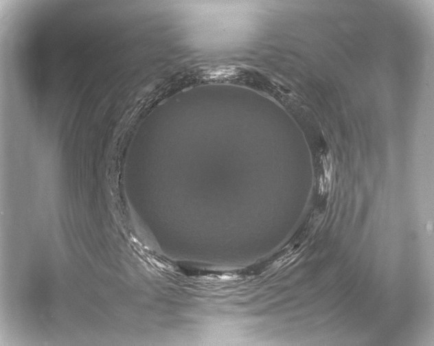 X0000066541441200603201413