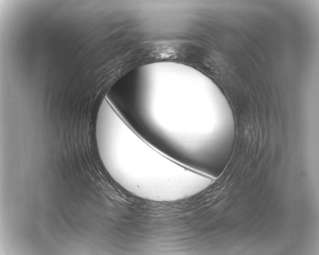 X0000066541442200603201413