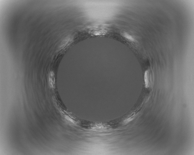 X0000066541443200603201413