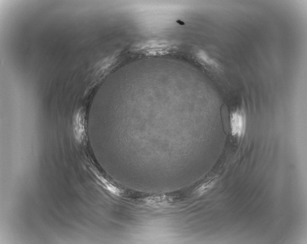 X0000066541444200603201413