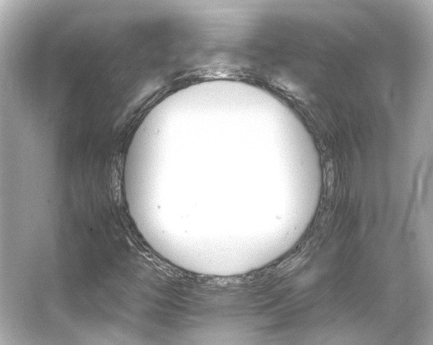 X0000066541446200603201413