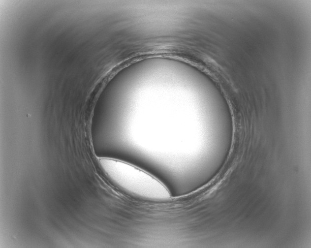 X0000066541449200603201413