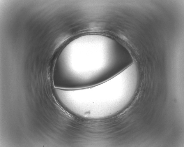 X0000066541450200603201413