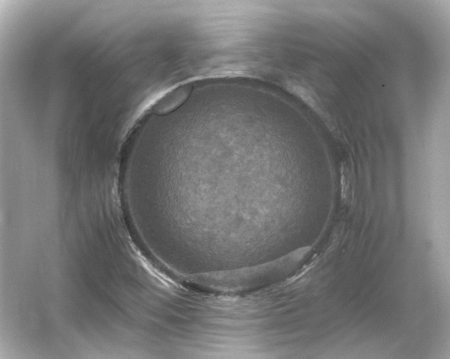 X0000066541452200603201413