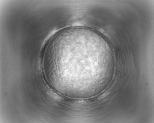 X0000066541454200603201413