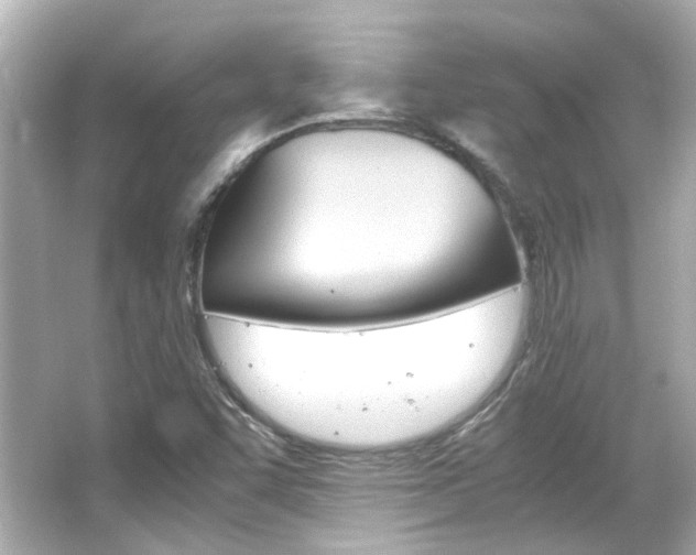 X0000066541455200603201413