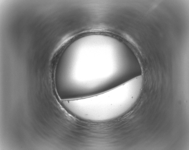 X0000066541456200603201413