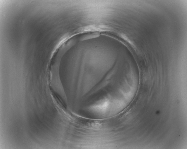 X0000066541459200603201413