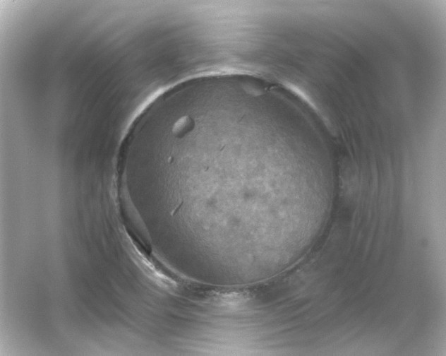 X0000066541460200603201413