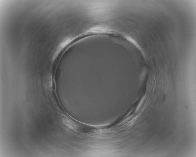 X0000066541461200603201413