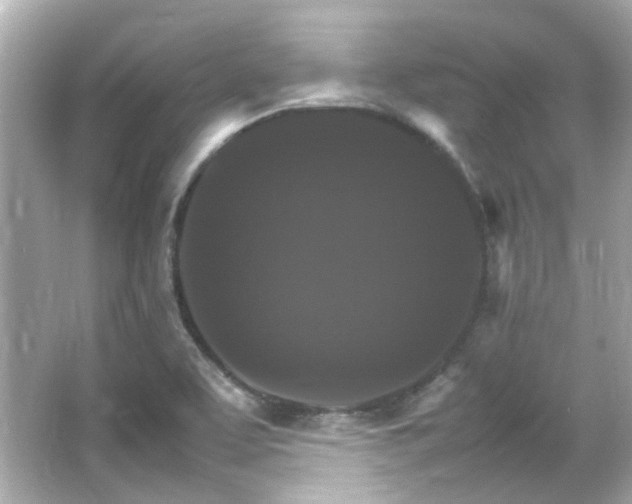 X0000066541463200603201413