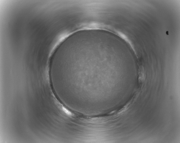 X0000066541464200603201413