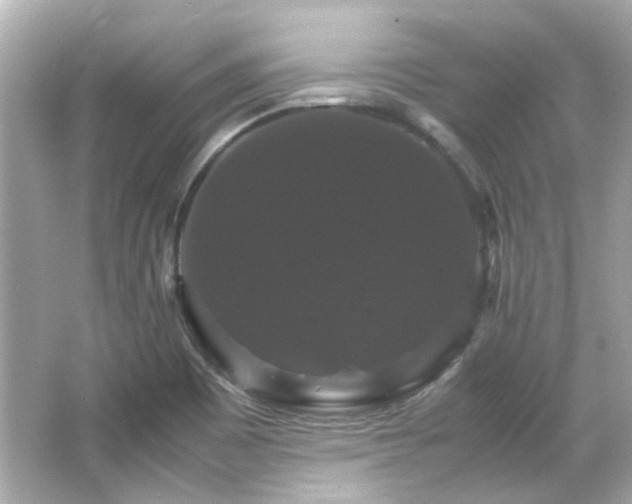 X0000066541465200603201413