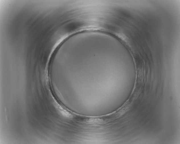 X0000066541466200603201413