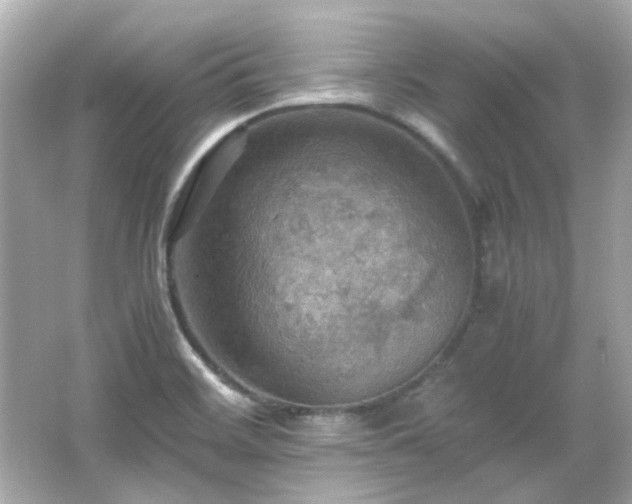 X0000066541468200603201413