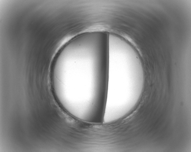 X0000066541469200603201413