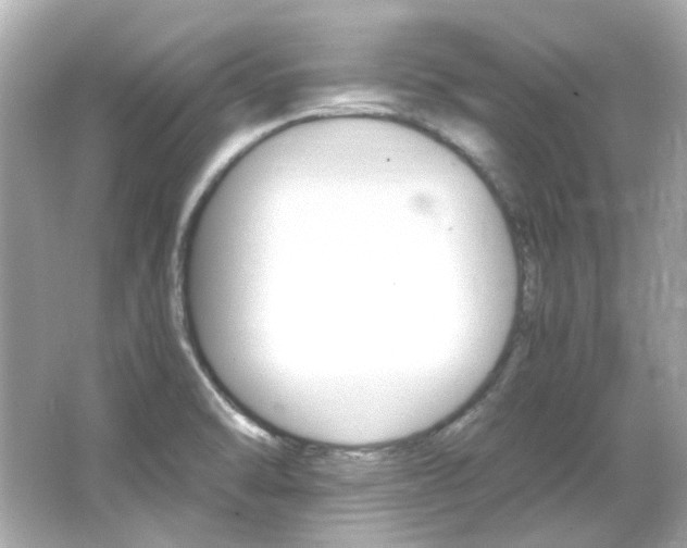 X0000066541470200603201413