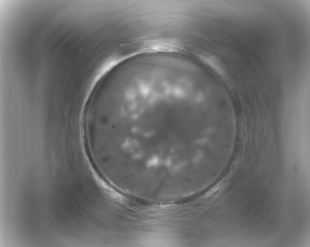 X0000066541471200603201413