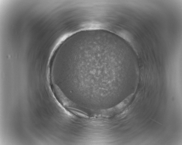 X0000066541472200603201413